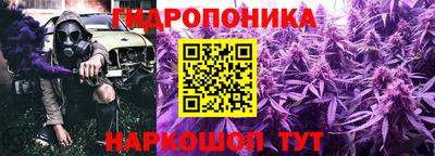 гашиш Ачхой-Мартан