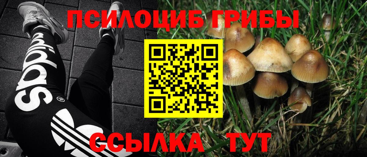 Галлюциногенные грибы MAGIC MUSHROOMS  Вход с VPN  Псилоцибиновые грибы GOLDEN TEACHER  цены наркотик  Братск 